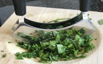 Lentezuivering verslag