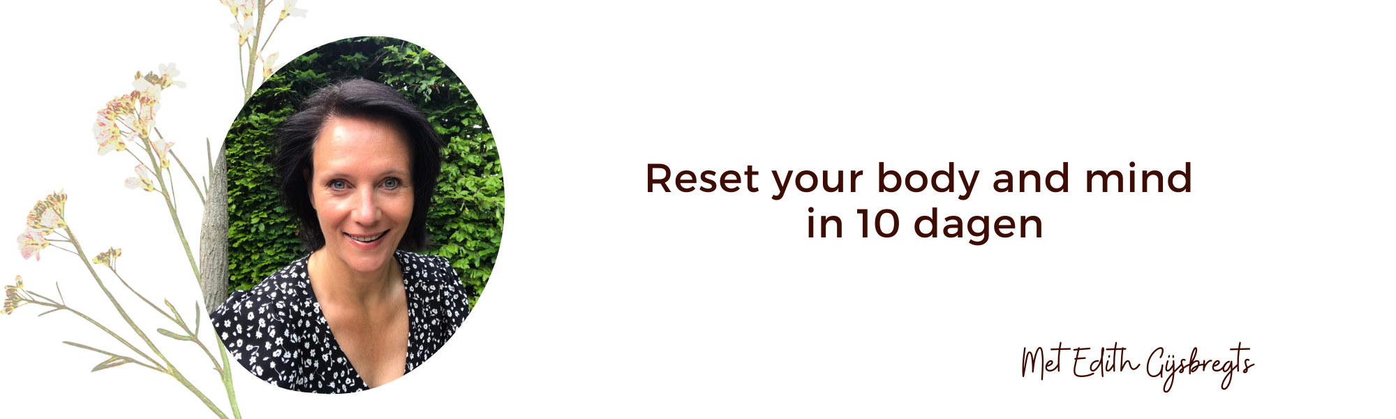 10 dagen reset banner